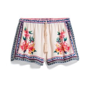 New Flying Tomato Shorts